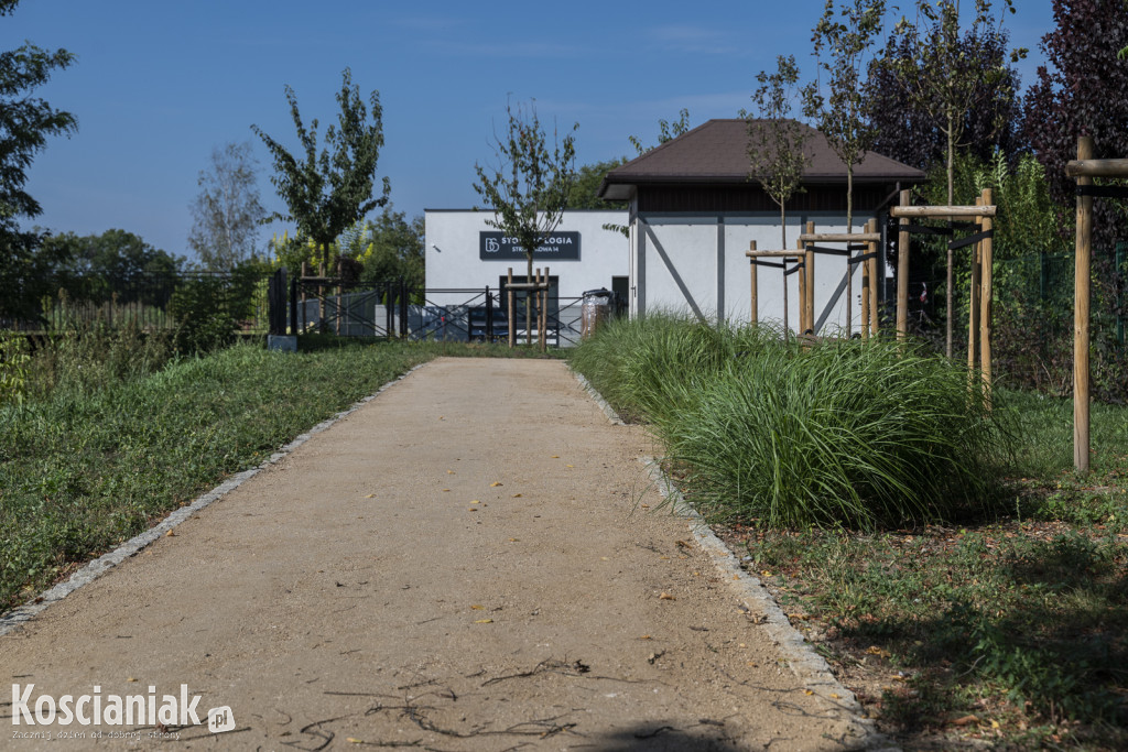 Park kieszonkowy i ścieżka w sąsiedztwie Olszynki