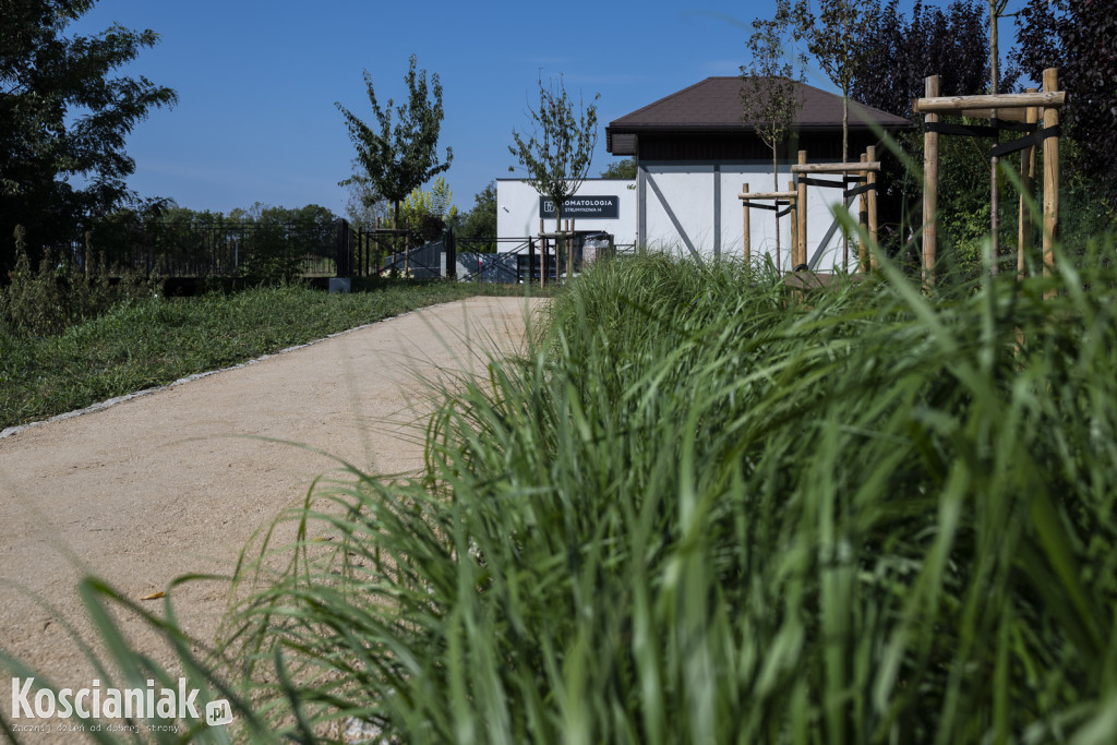 Park kieszonkowy i ścieżka w sąsiedztwie Olszynki