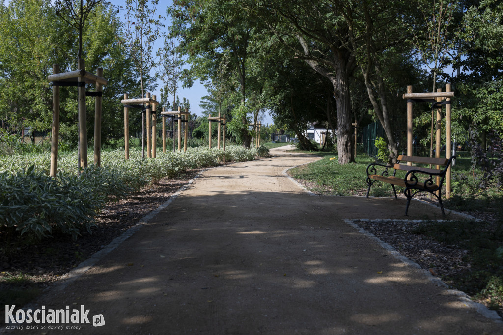 Park kieszonkowy i ścieżka w sąsiedztwie Olszynki