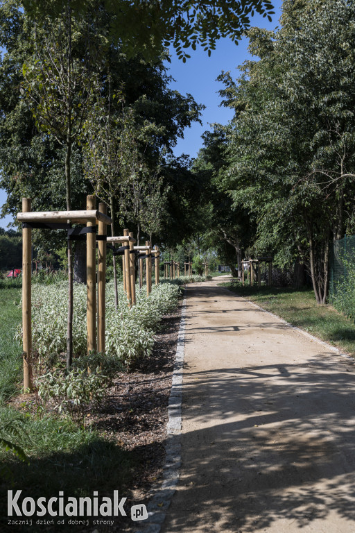 Park kieszonkowy i ścieżka w sąsiedztwie Olszynki