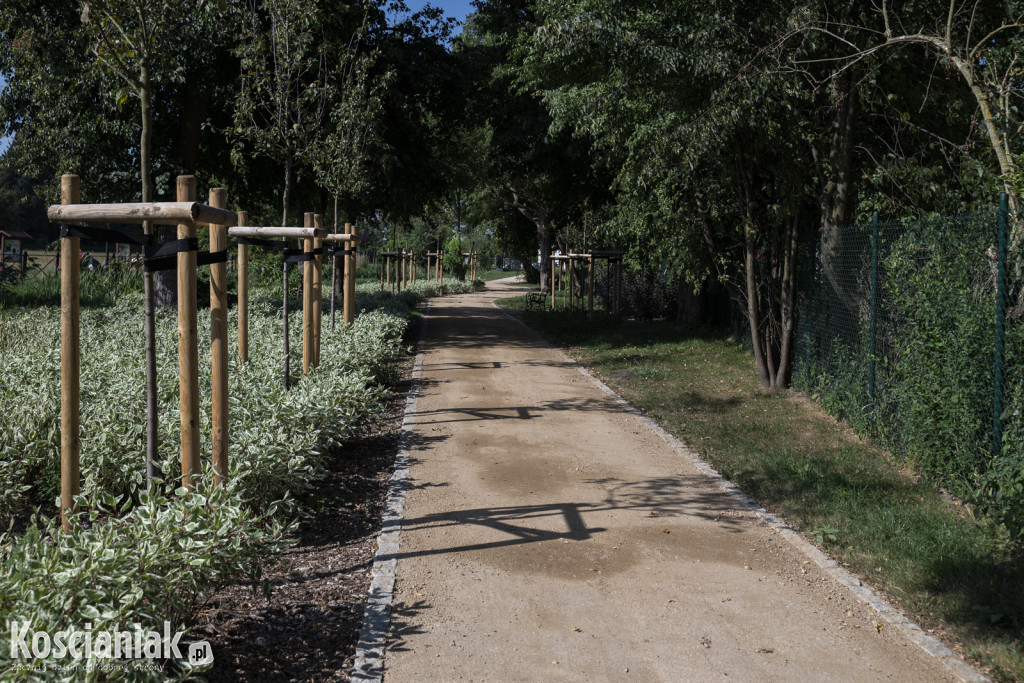 Park kieszonkowy i ścieżka w sąsiedztwie Olszynki