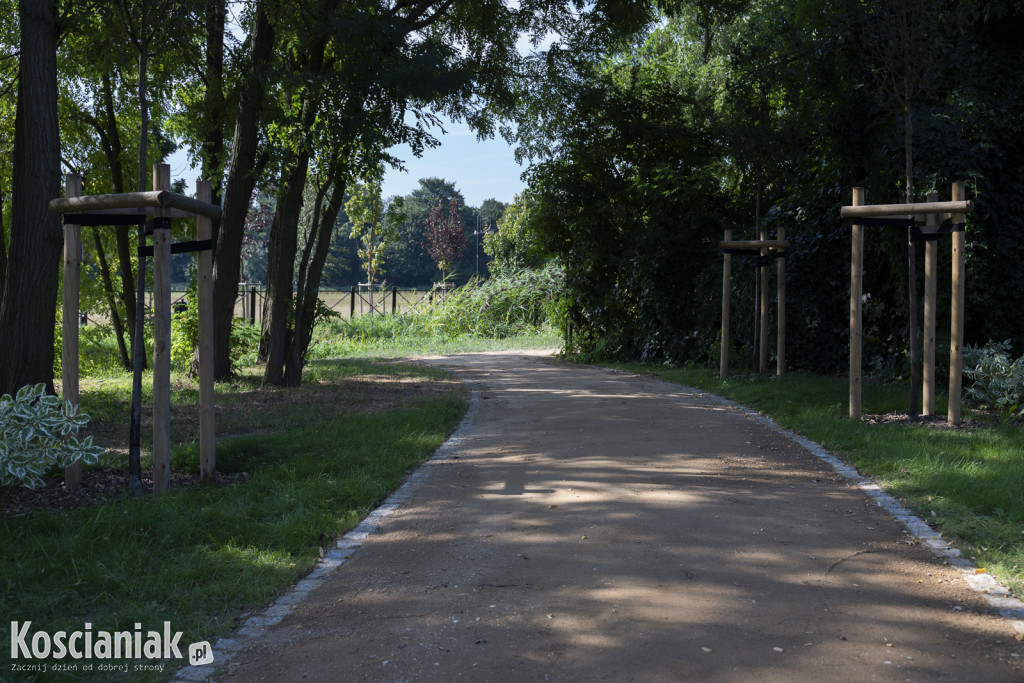 Park kieszonkowy i ścieżka w sąsiedztwie Olszynki