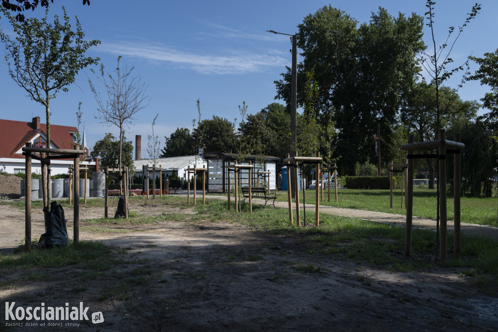 Park kieszonkowy i ścieżka w sąsiedztwie Olszynki