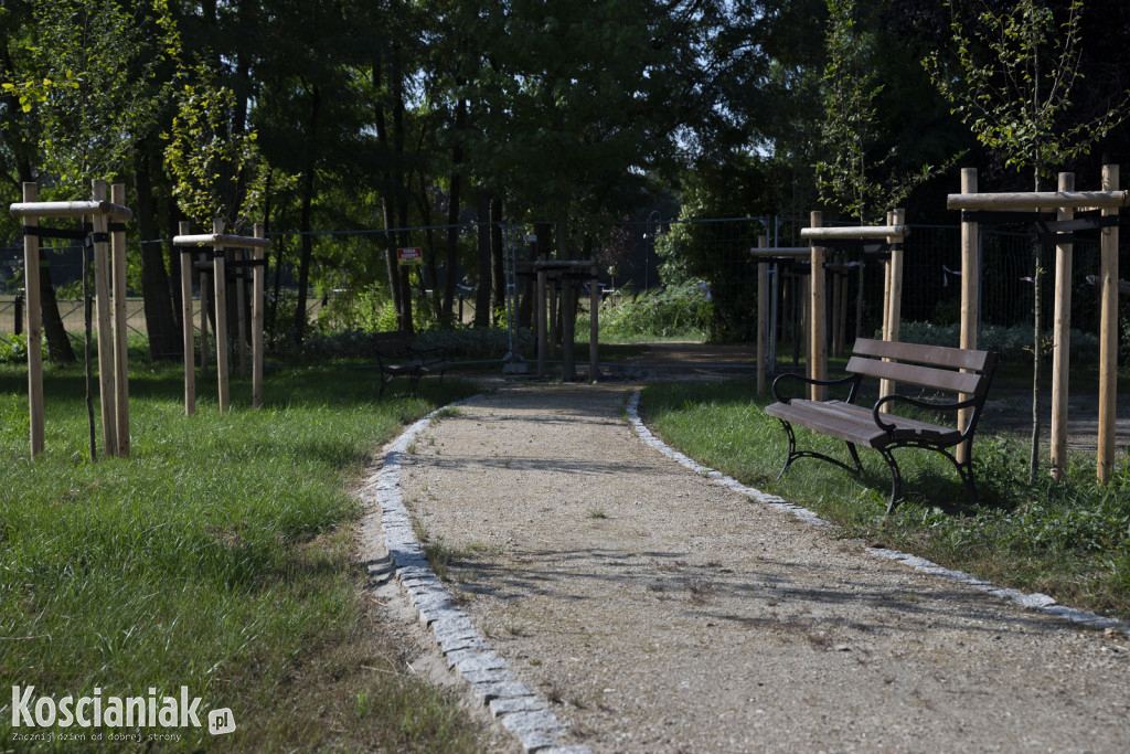 Park kieszonkowy i ścieżka w sąsiedztwie Olszynki