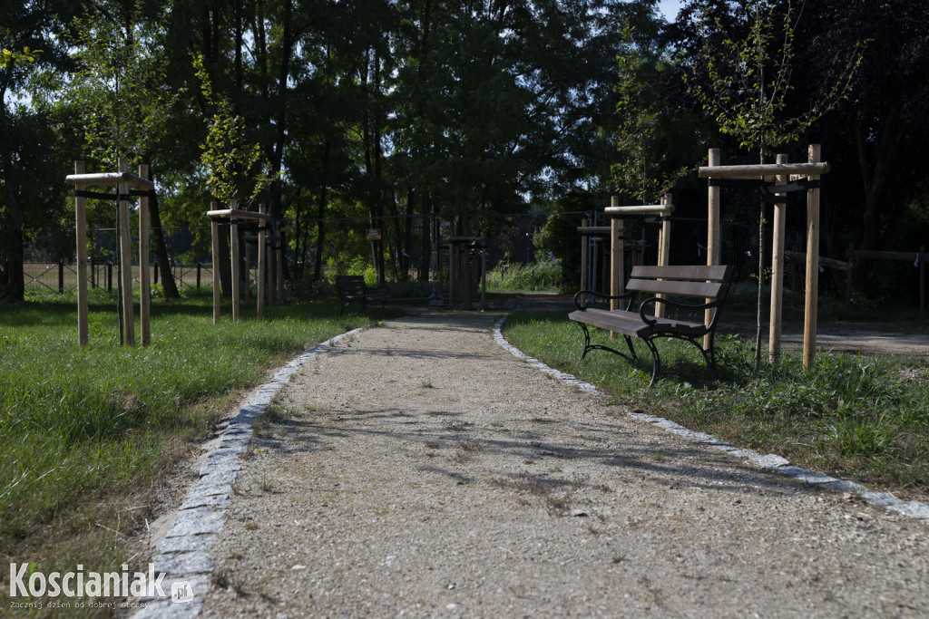 Park kieszonkowy i ścieżka w sąsiedztwie Olszynki