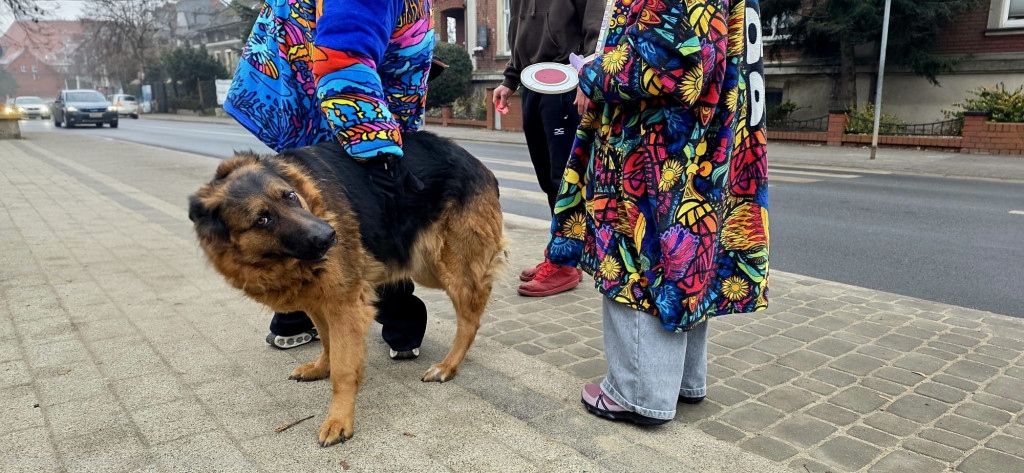 134 tys. zł w gminie Śmigiel podczas finału WOŚP