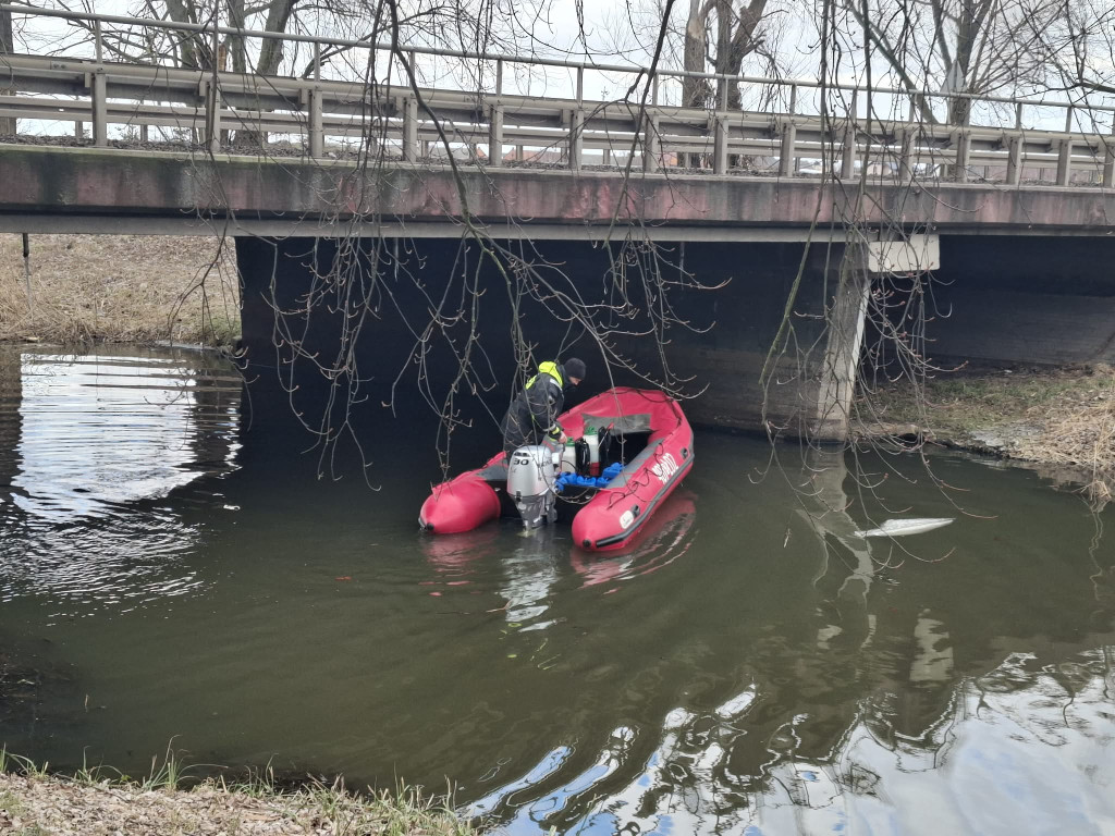 Oleista ciecz na kanale Obry przy jazie