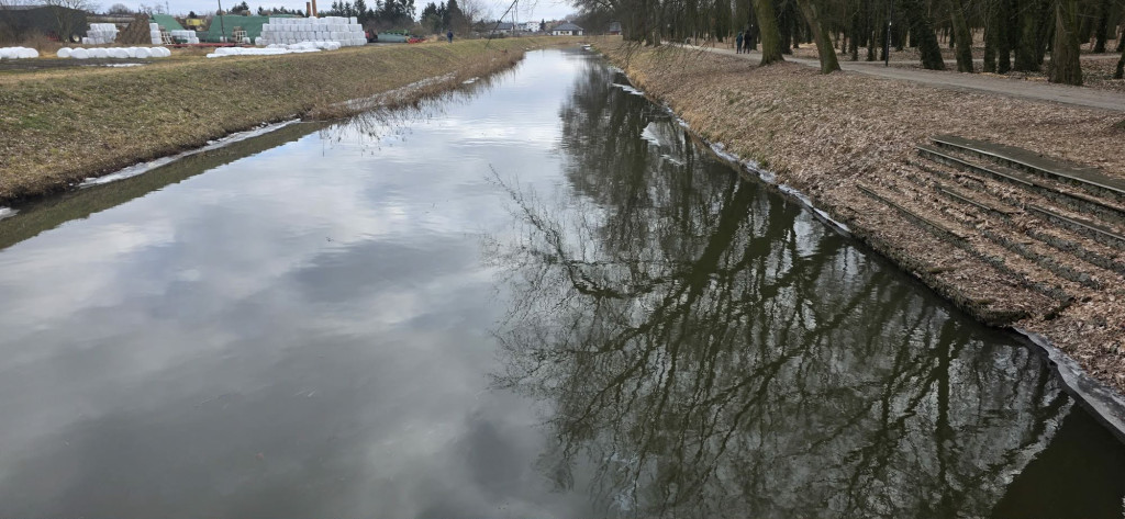 Oleista ciecz na kanale Obry przy jazie
