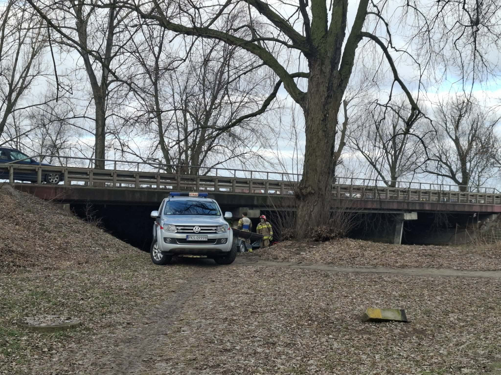 Oleista ciecz na kanale Obry przy jazie