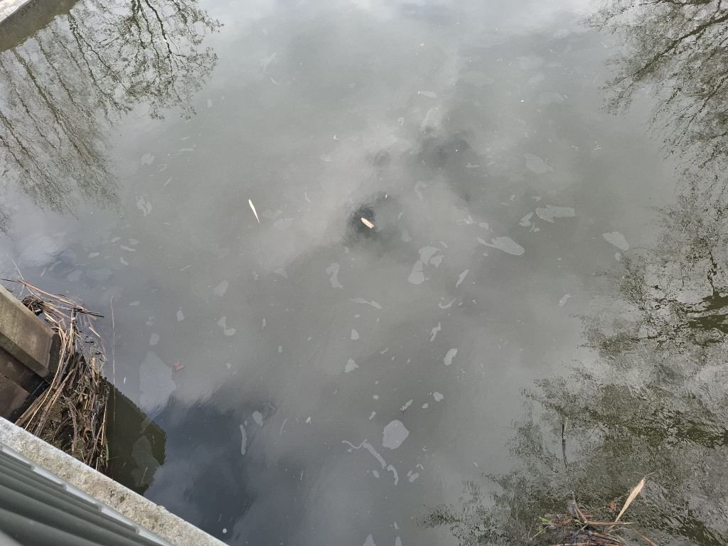 Oleista ciecz na kanale Obry przy jazie