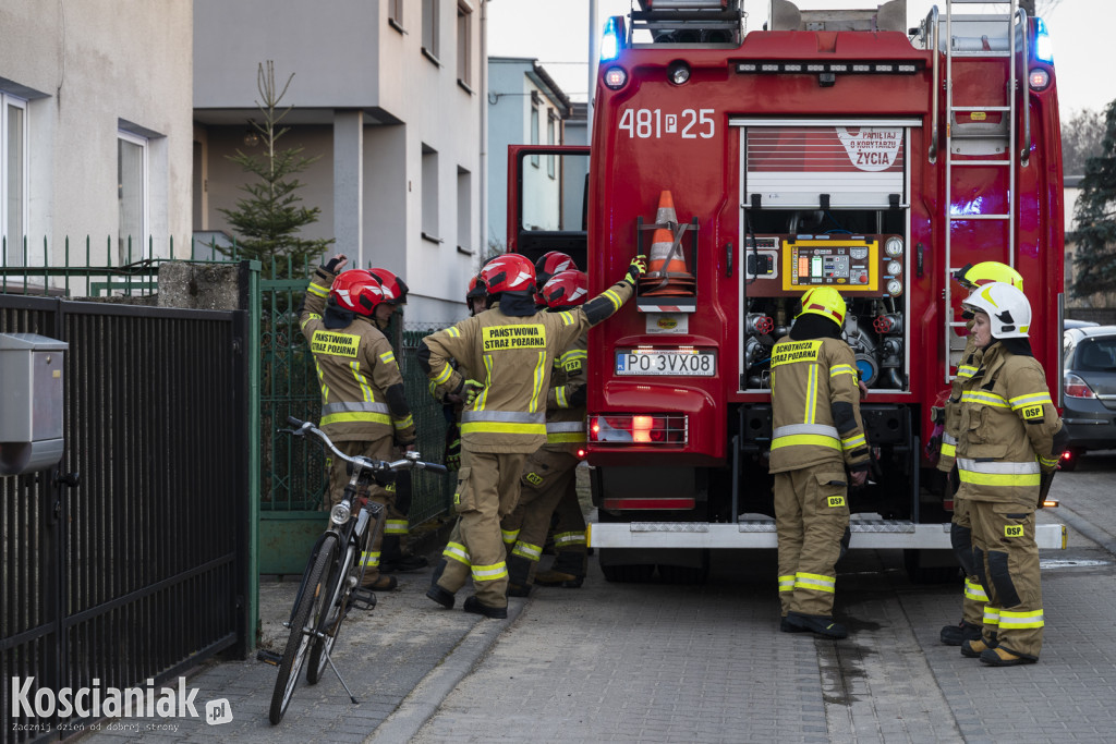 Zadymienie w piwnicy domu w Kurzej Górze