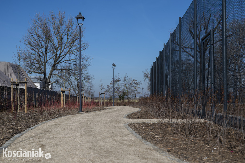 Tak wygląda park w Jasieniu po rewitalizacji