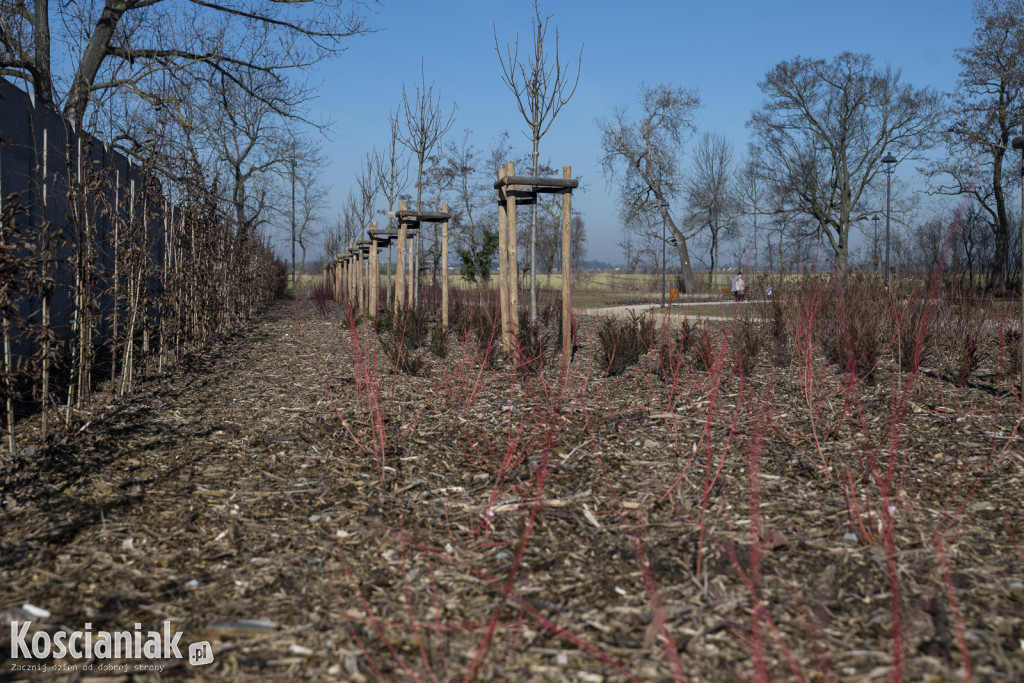 Tak wygląda park w Jasieniu po rewitalizacji