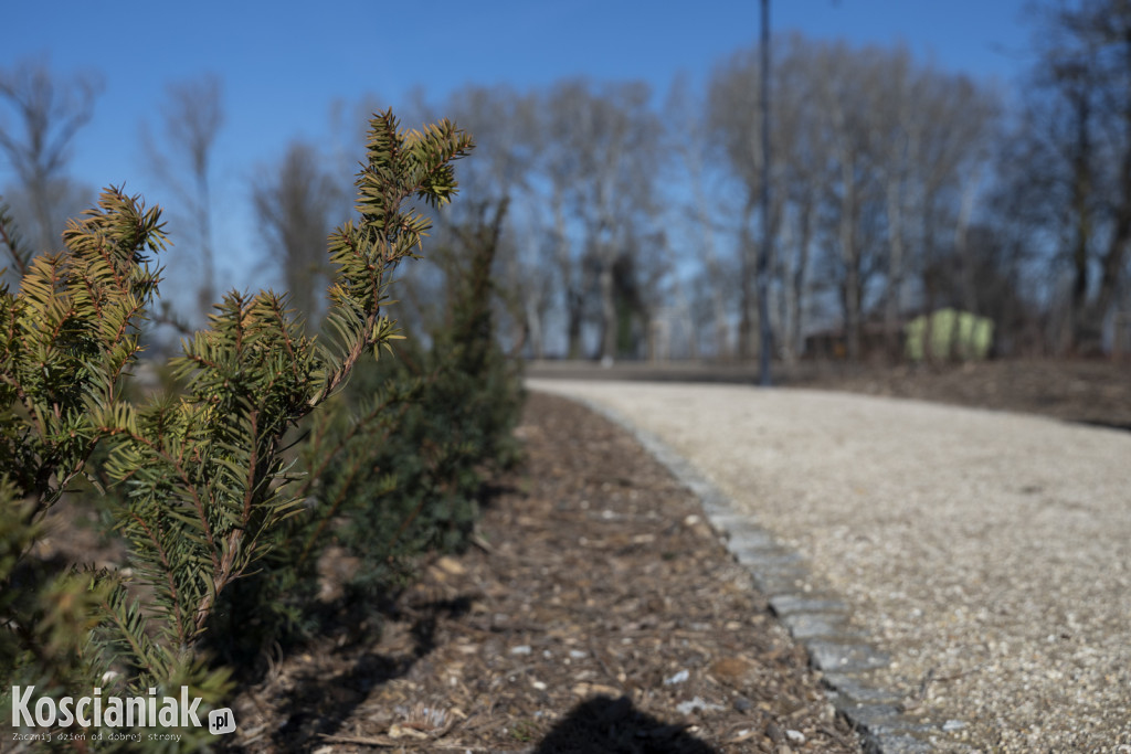 Tak wygląda park w Jasieniu po rewitalizacji