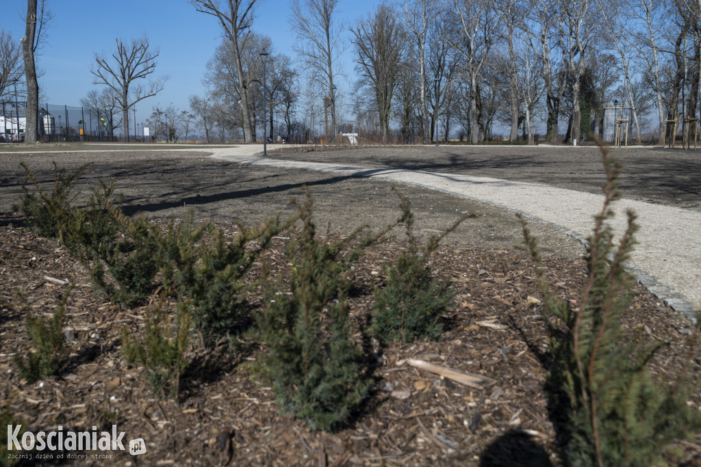 Tak wygląda park w Jasieniu po rewitalizacji
