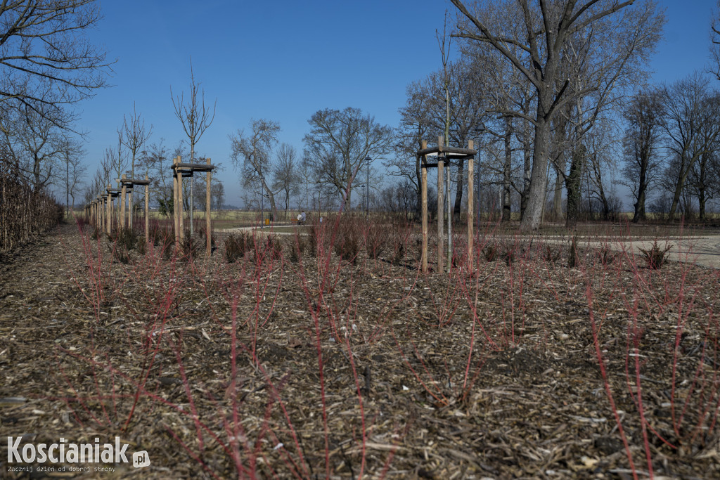 Tak wygląda park w Jasieniu po rewitalizacji