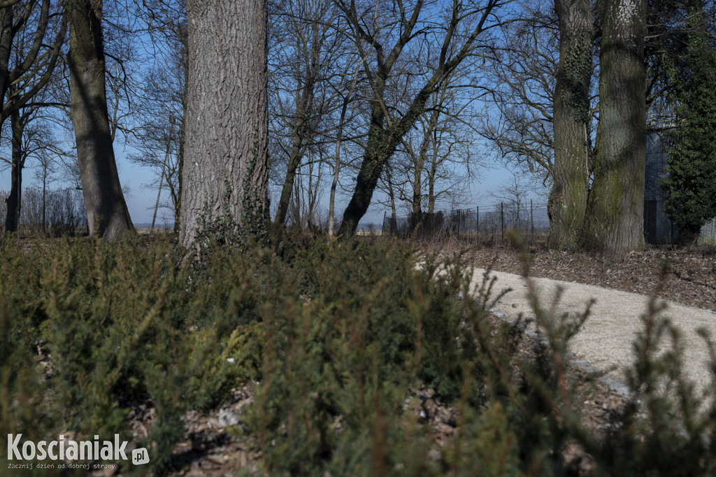Tak wygląda park w Jasieniu po rewitalizacji