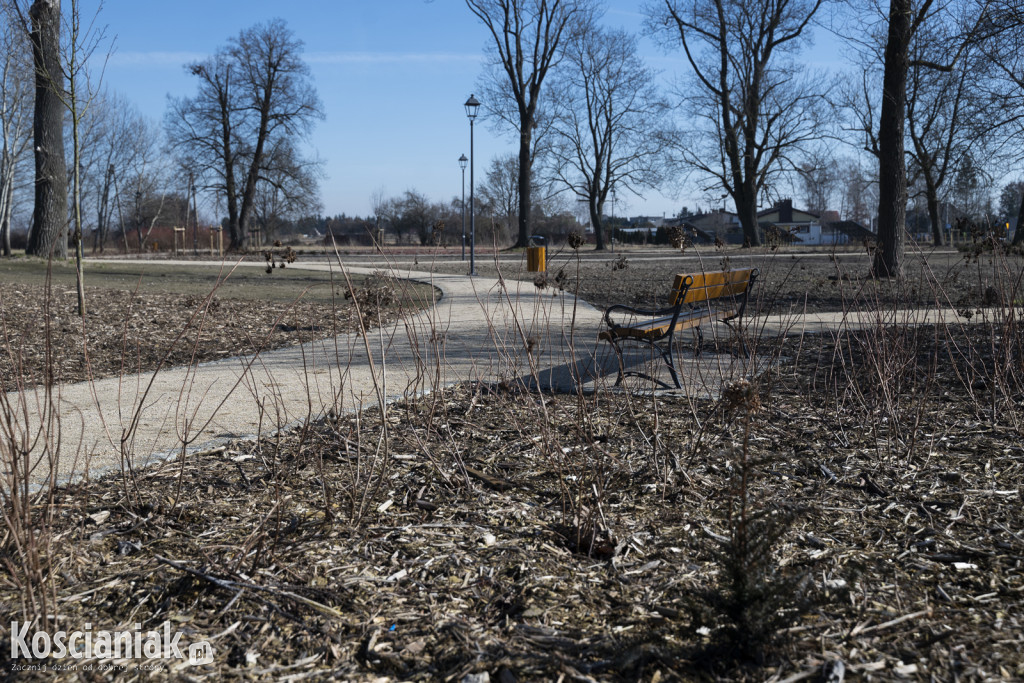 Tak wygląda park w Jasieniu po rewitalizacji