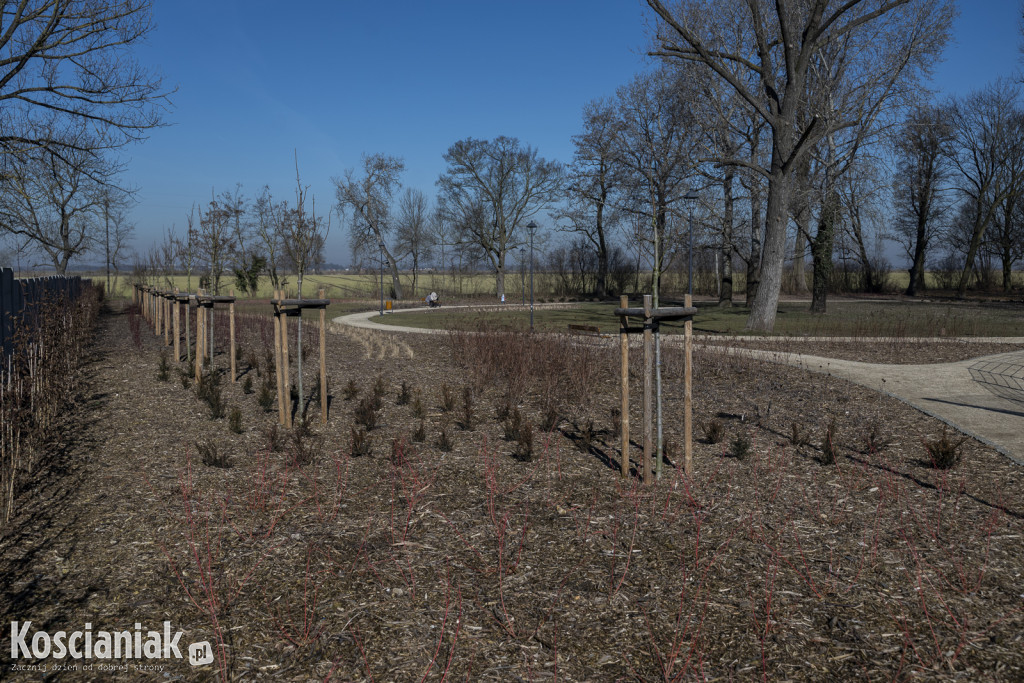 Tak wygląda park w Jasieniu po rewitalizacji