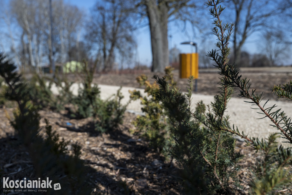 Tak wygląda park w Jasieniu po rewitalizacji
