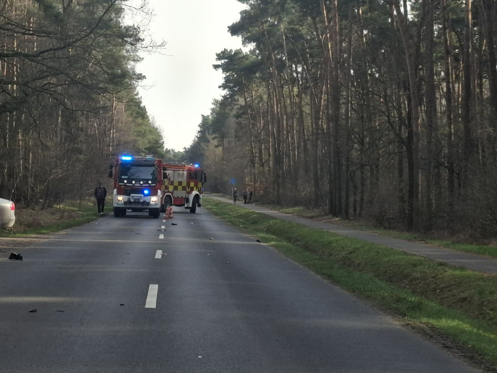 Motocyklista wjechał w stado saren