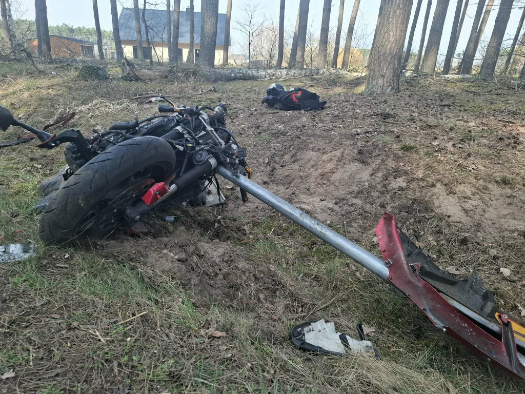 Motocyklista wjechał w stado saren