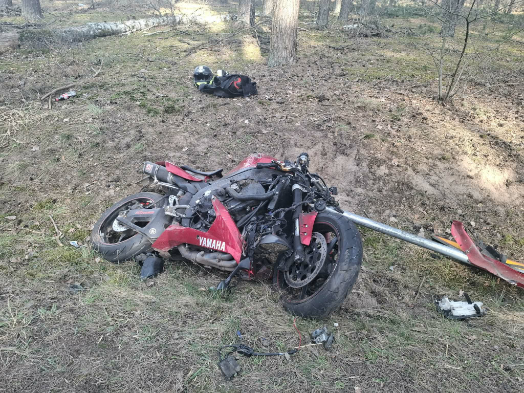 Motocyklista wjechał w stado saren
