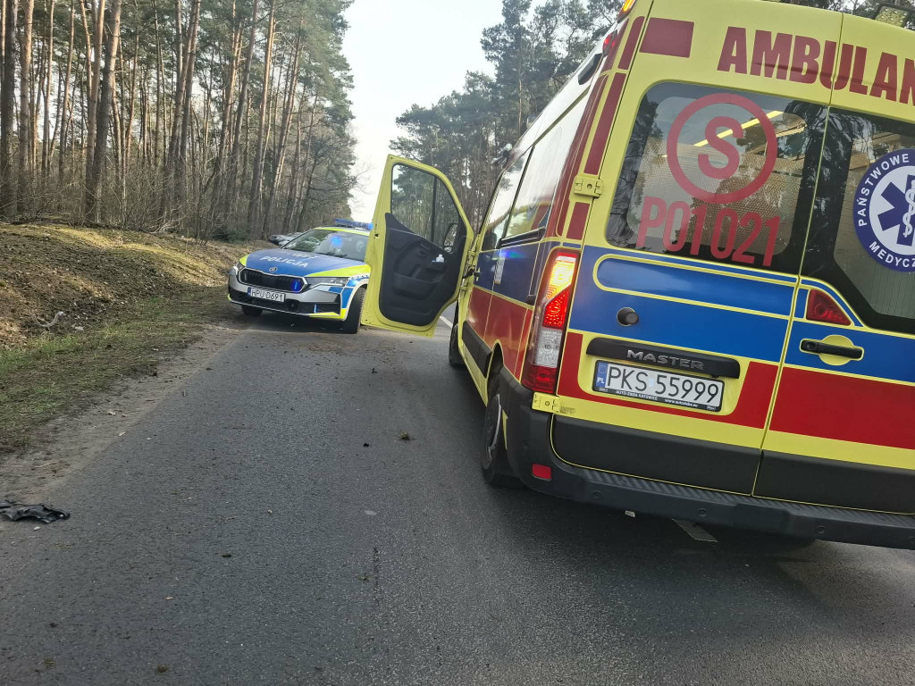 Motocyklista wjechał w stado saren