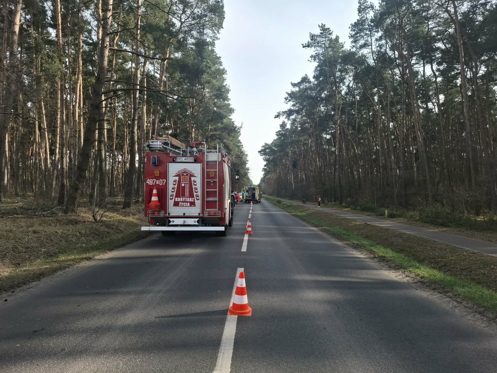 Motocyklista wjechał w stado saren
