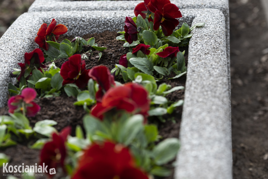 Ozdoby wielkanocne i wiosenne w Kościanie