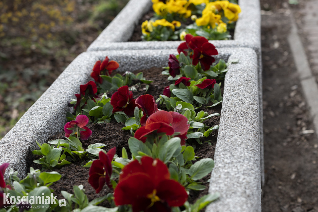 Ozdoby wielkanocne i wiosenne w Kościanie