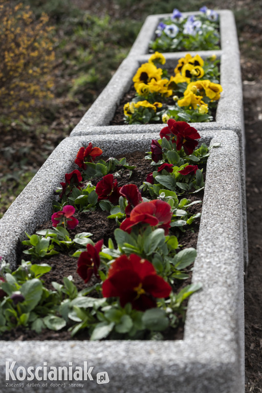 Ozdoby wielkanocne i wiosenne w Kościanie