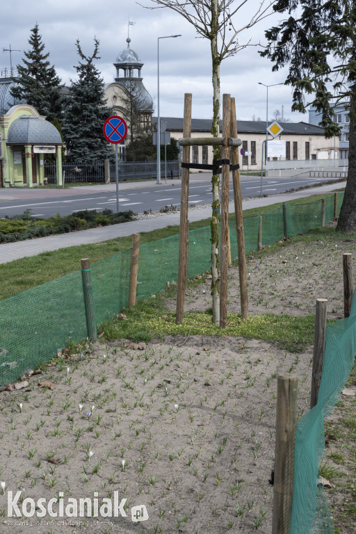 Ozdoby wielkanocne i wiosenne w Kościanie