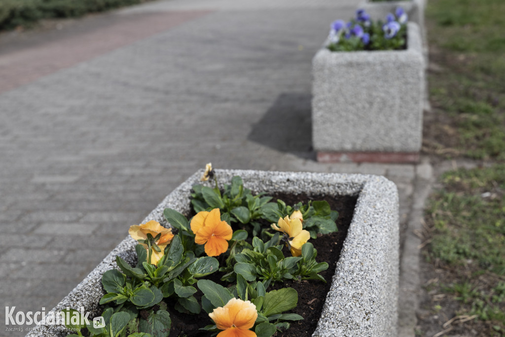 Ozdoby wielkanocne i wiosenne w Kościanie