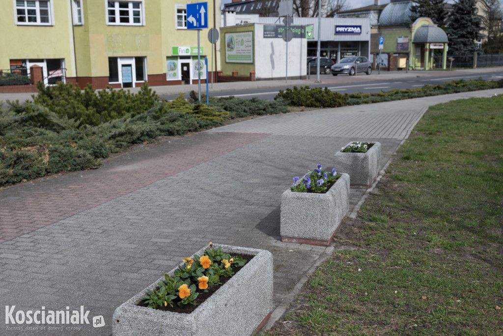Ozdoby wielkanocne i wiosenne w Kościanie