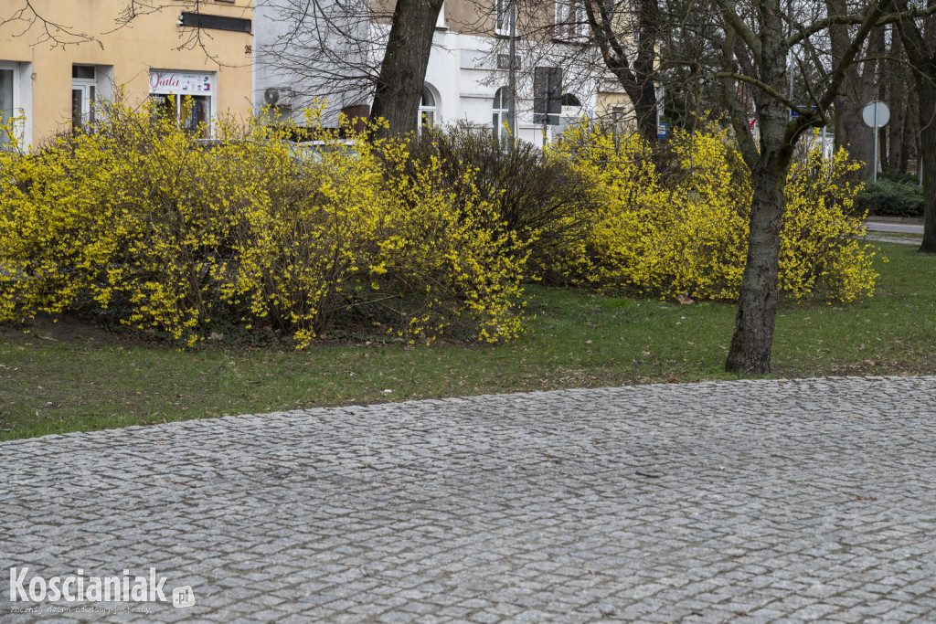 Ozdoby wielkanocne i wiosenne w Kościanie