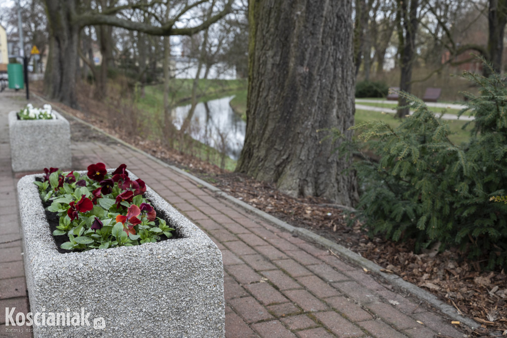 Ozdoby wielkanocne i wiosenne w Kościanie