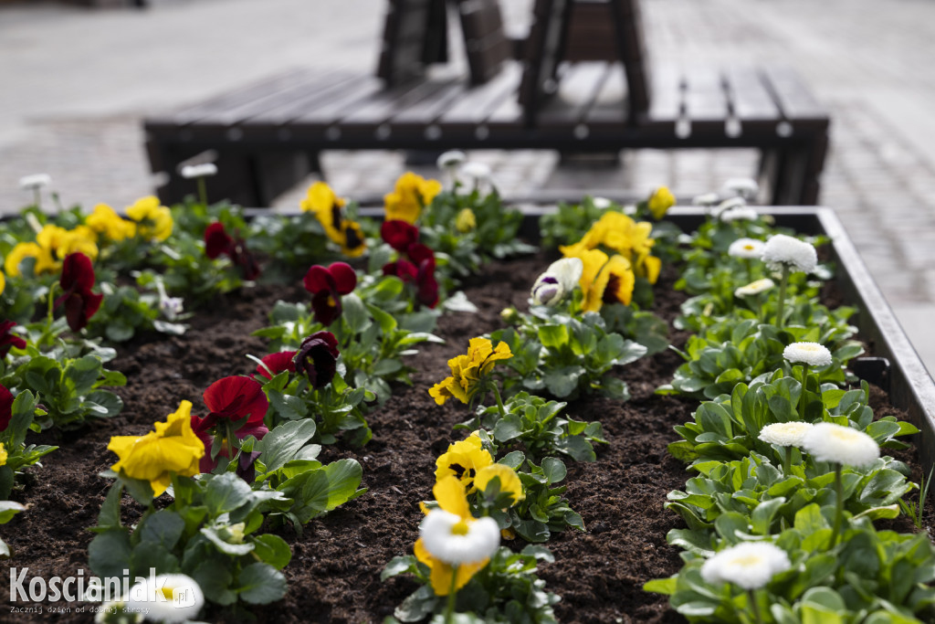 Ozdoby wielkanocne i wiosenne w Kościanie