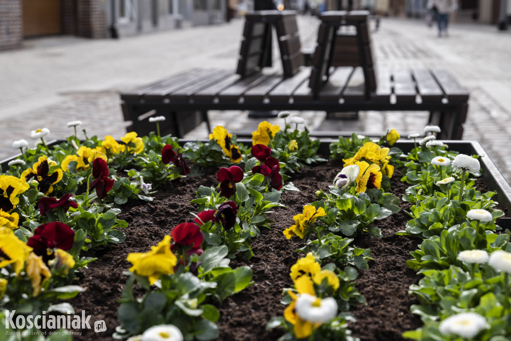 Ozdoby wielkanocne i wiosenne w Kościanie