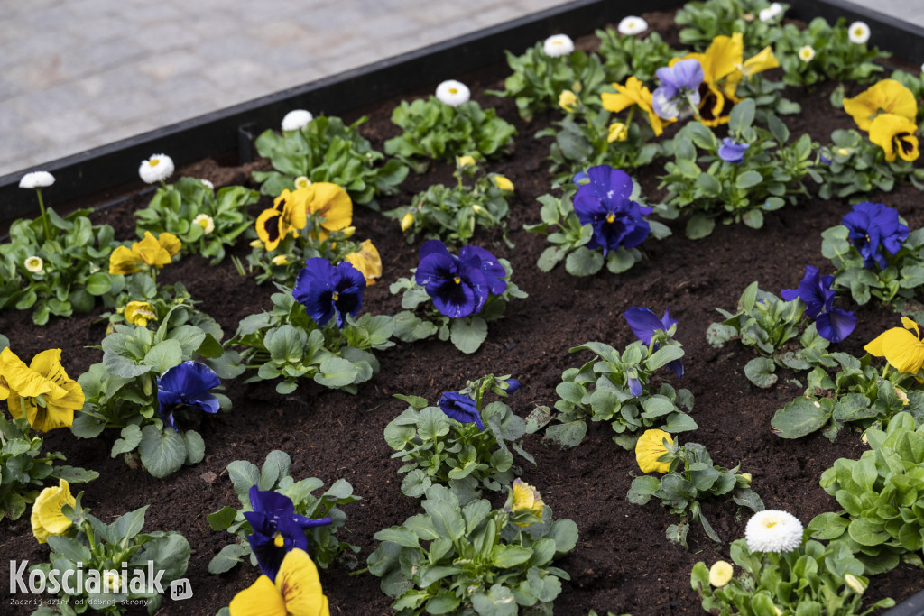 Ozdoby wielkanocne i wiosenne w Kościanie