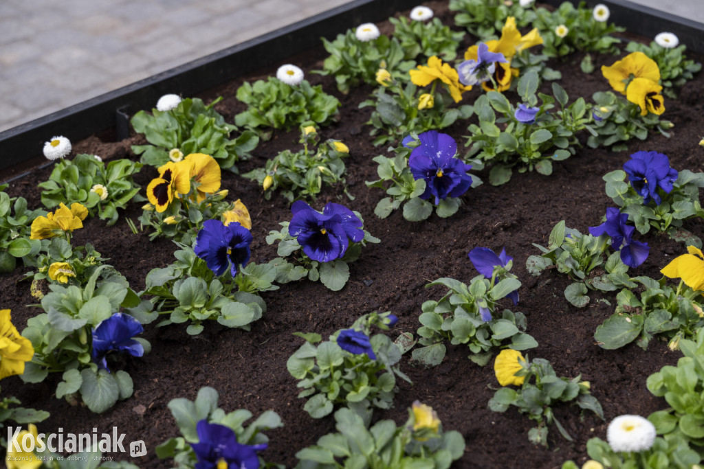 Ozdoby wielkanocne i wiosenne w Kościanie