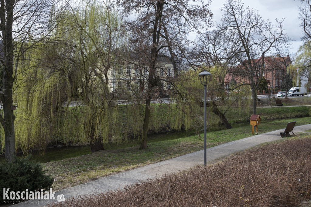 Ozdoby wielkanocne i wiosenne w Kościanie