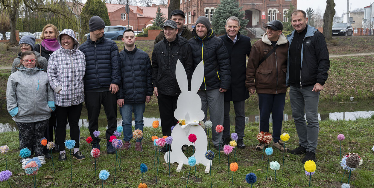 Kwietna łąka z pomponów na Wałach Żegockiego