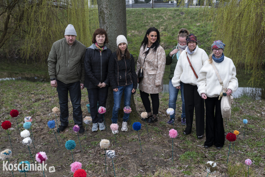 Kwietna łąka z pomponów na Wałach Żegockiego