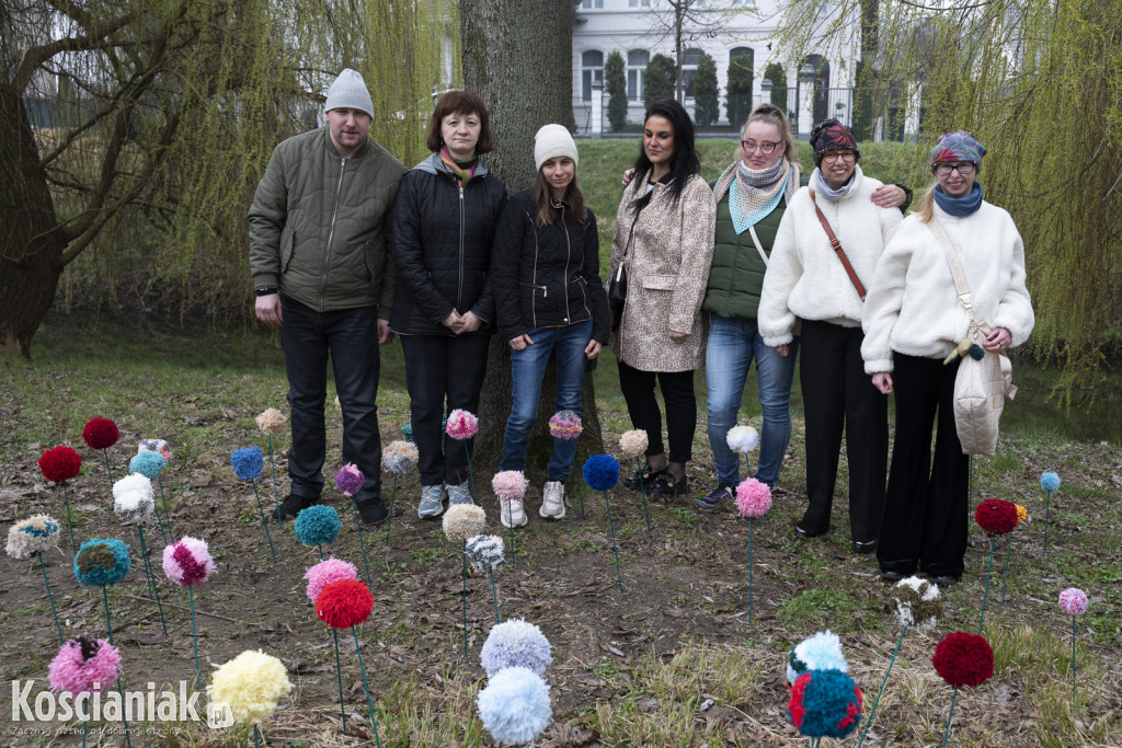 Kwietna łąka z pomponów na Wałach Żegockiego