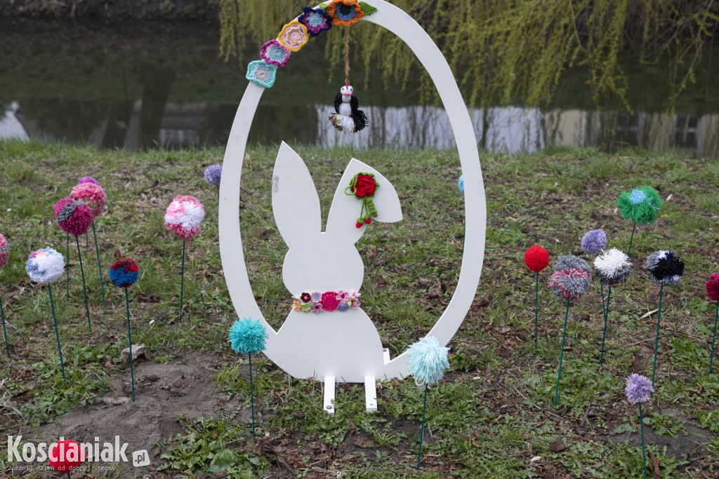 Kwietna łąka z pomponów na Wałach Żegockiego