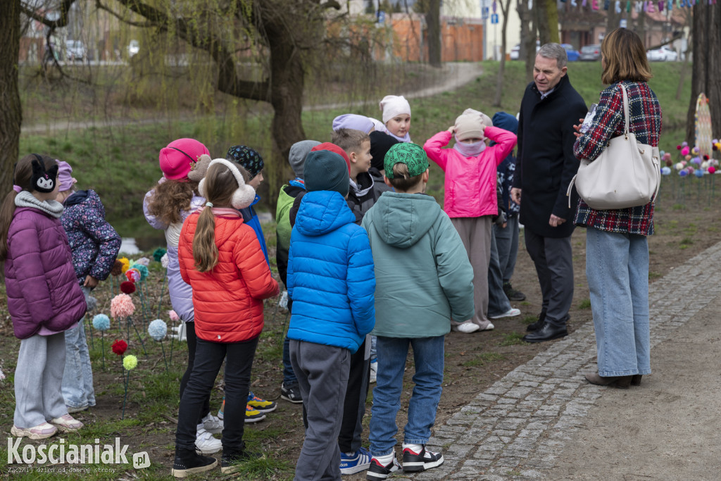 Kwietna łąka z pomponów na Wałach Żegockiego