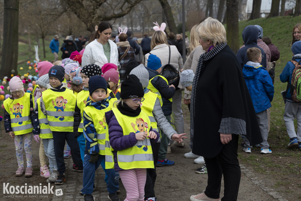 Kwietna łąka z pomponów na Wałach Żegockiego