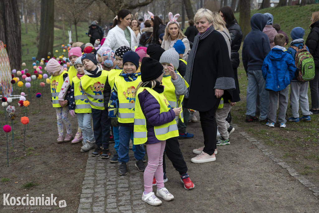 Kwietna łąka z pomponów na Wałach Żegockiego
