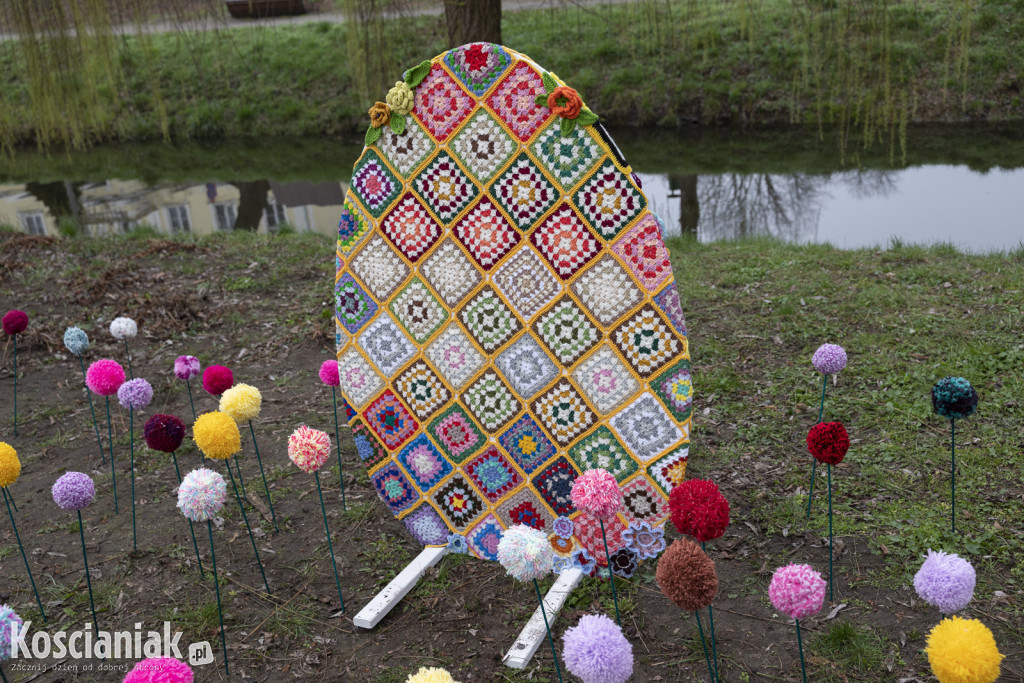 Kwietna łąka z pomponów na Wałach Żegockiego